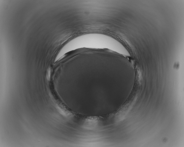 X0000094430076200711291543