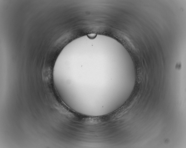 X0000094430077200711291543