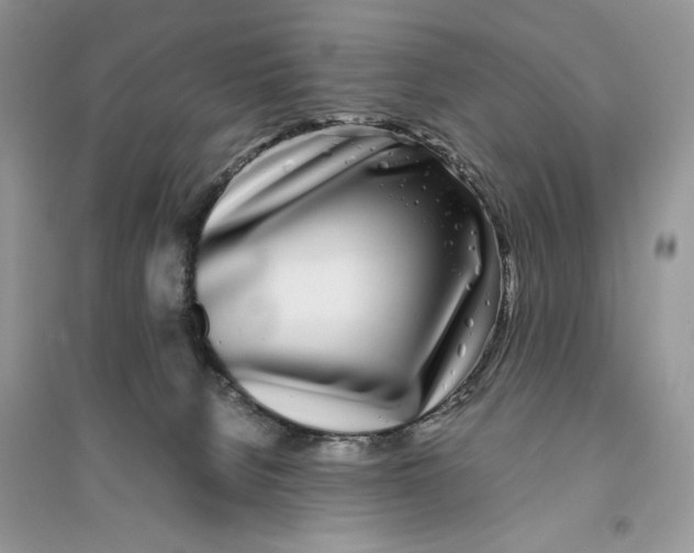 X0000094430080200711291543