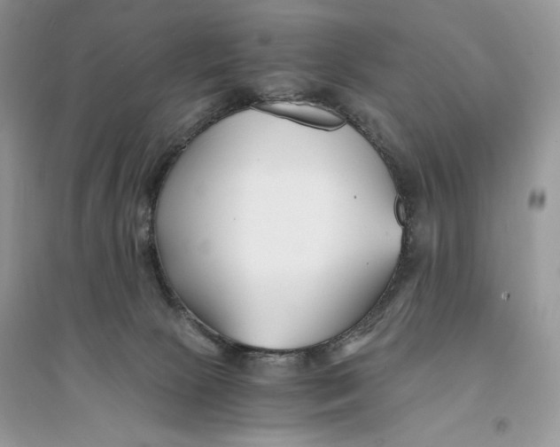 X0000094430081200711291543