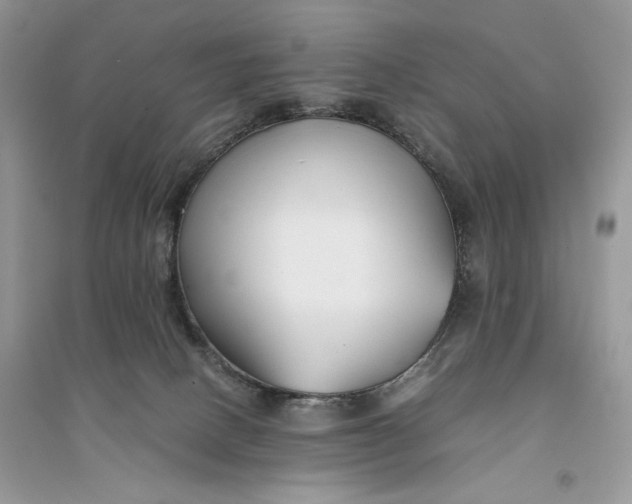 X0000094430082200711291543