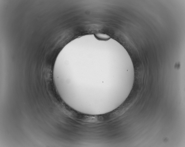 X0000094430083200711291543