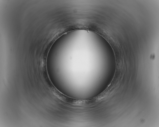 X0000094430084200711291543