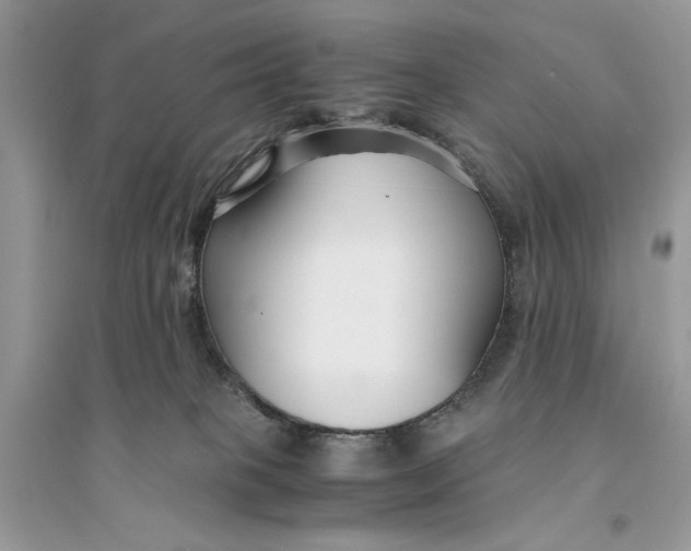 X0000094430085200711291543