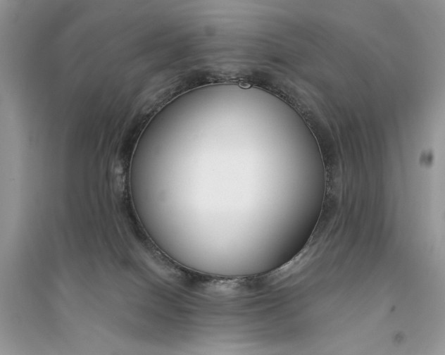 X0000094430086200711291543