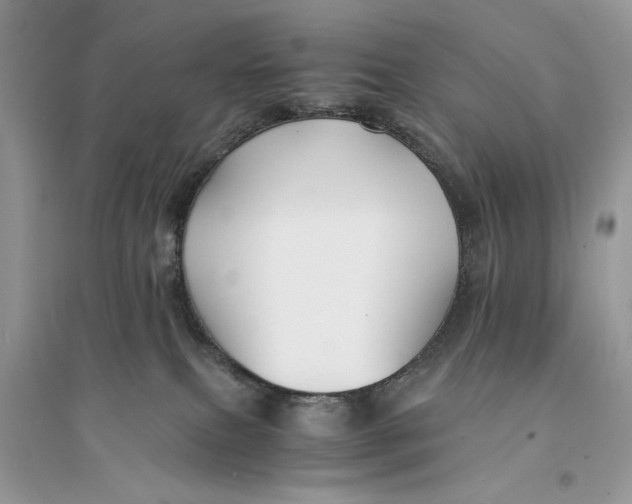 X0000094430087200711291543