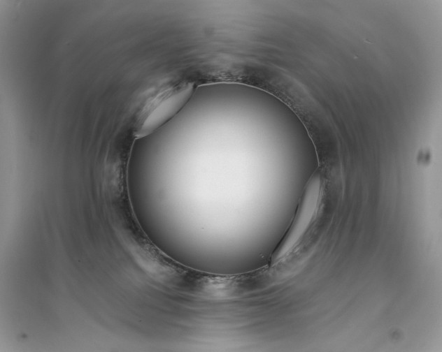 X0000094430088200711291543