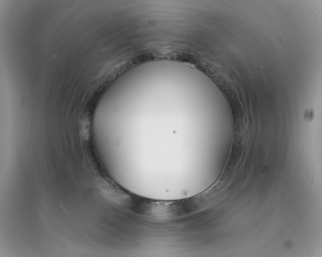 X0000094430090200711291543