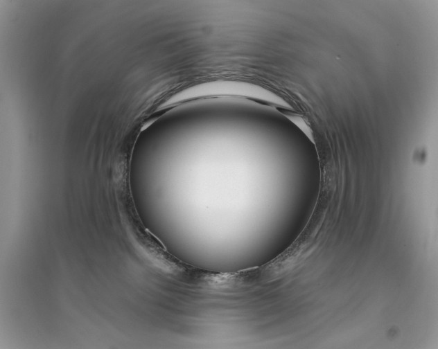 X0000094430092200711291543