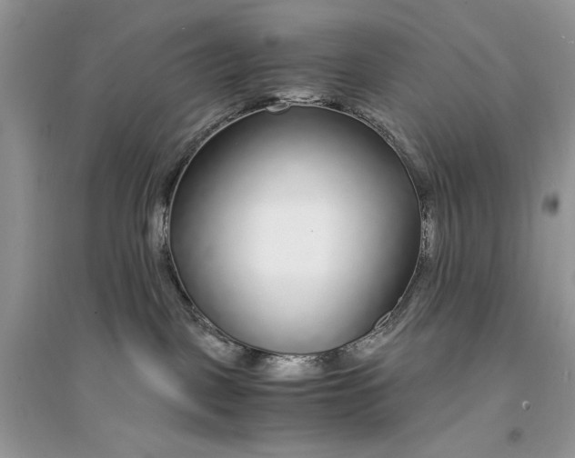 X0000094430093200711291543