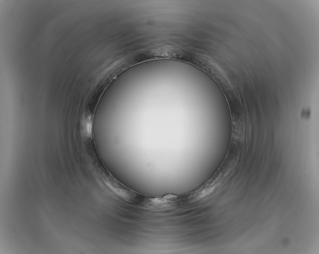 X0000094430095200711291543