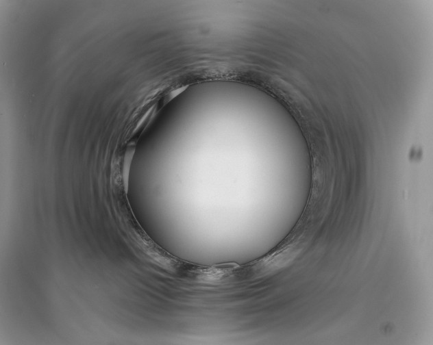 X0000094430096200711291543