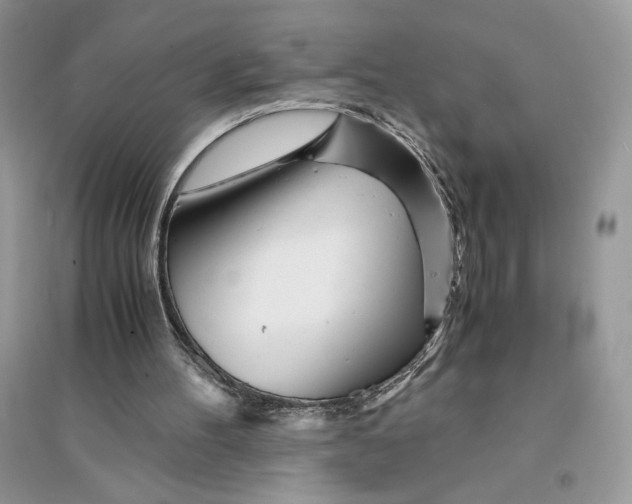 X0000094430100200711291542