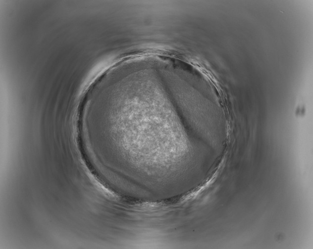 X0000094430101200711291542