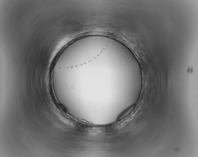 X0000094430102200711291542