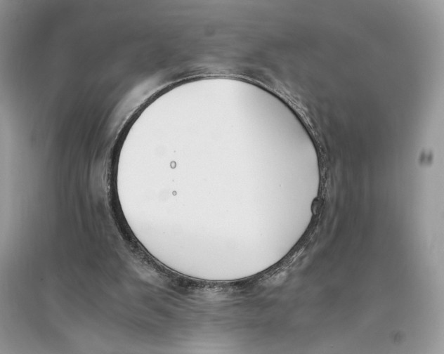 X0000094430103200711291542