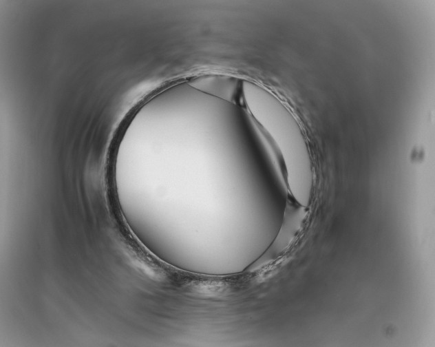 X0000094430104200711291542