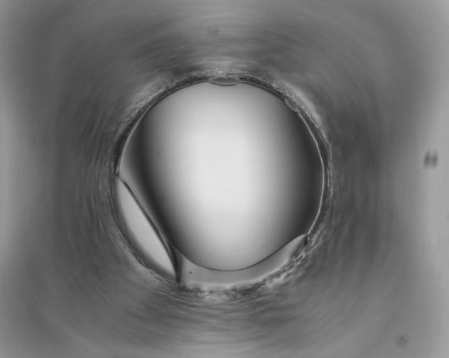 X0000094430105200711291542