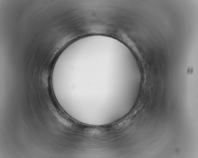 X0000094430106200711291542