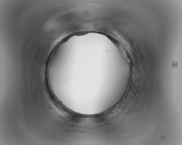 X0000094430107200711291542