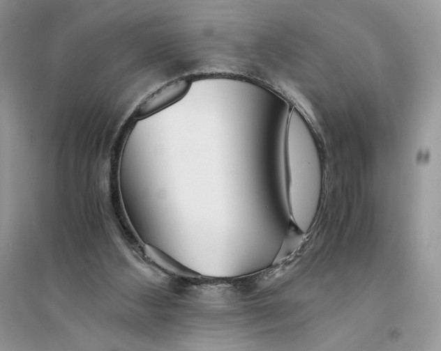 X0000094430108200711291542