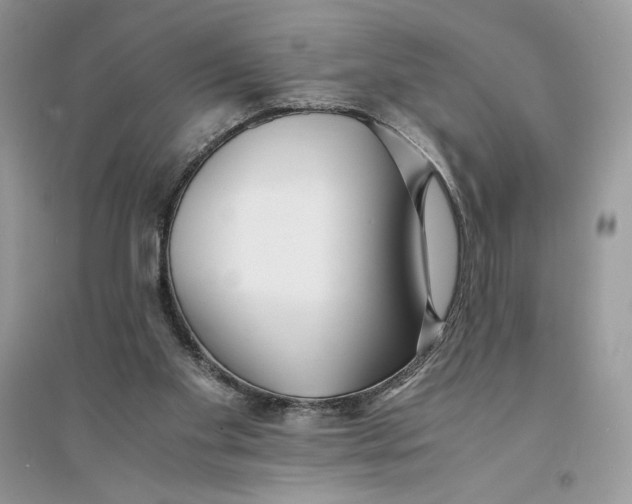 X0000094430109200711291542