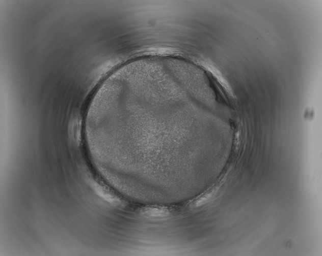 X0000094430110200711291542