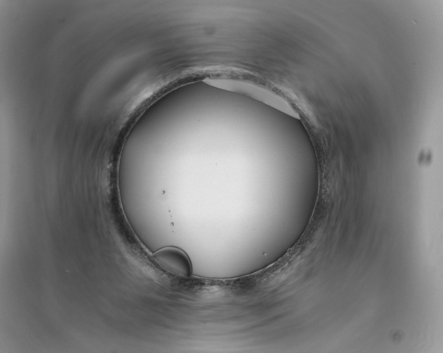 X0000094430111200711291542