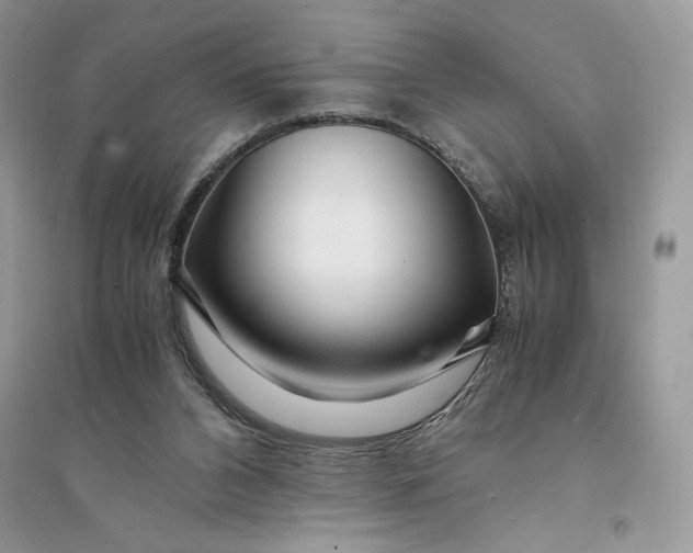 X0000094430112200711291542