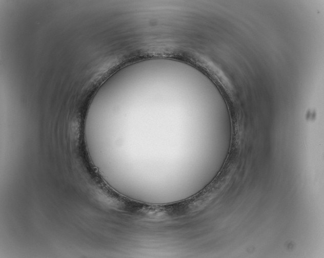 X0000094430113200711291542