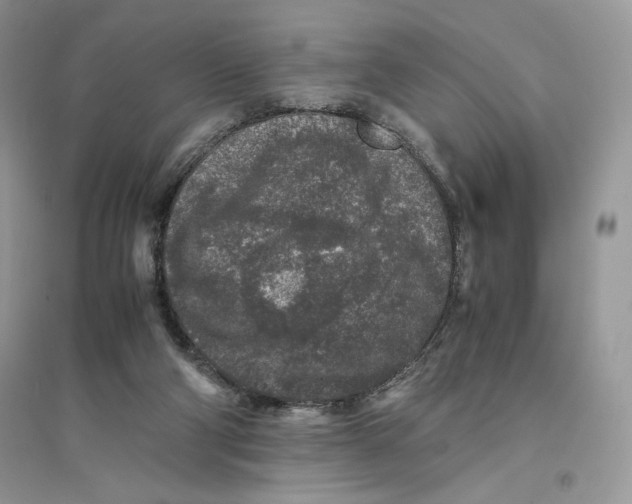 X0000094430114200711291542