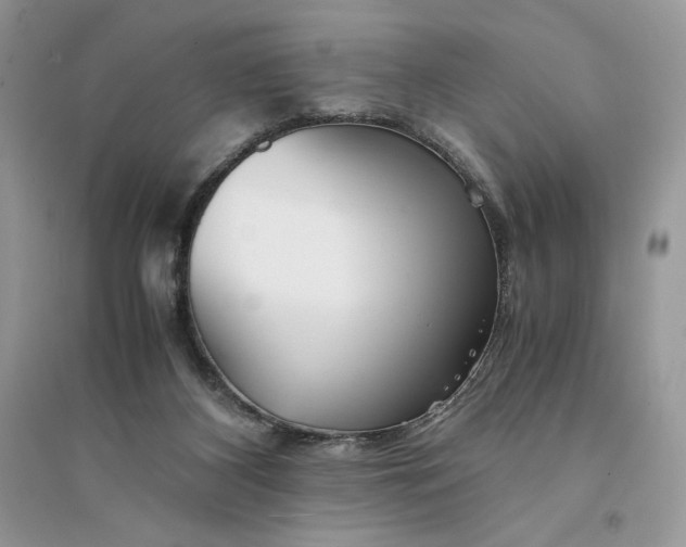 X0000094430116200711291542