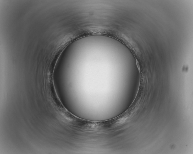 X0000094430117200711291542