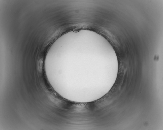 X0000094430118200711291542