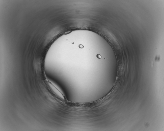 X0000094430120200711291542