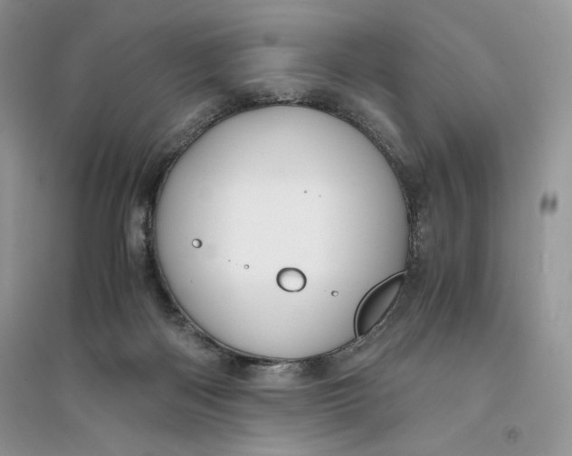 X0000094430122200711291542