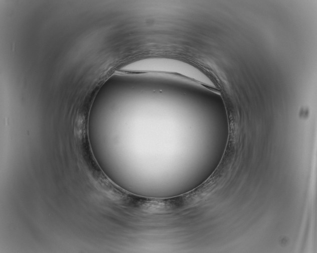 X0000094430123200711291542