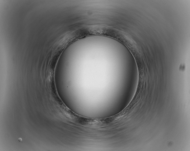 X0000094430125200711291542