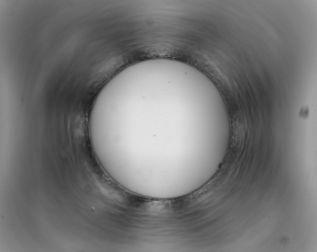 X0000094430126200711291542