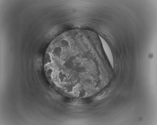 X0000094430127200711291542