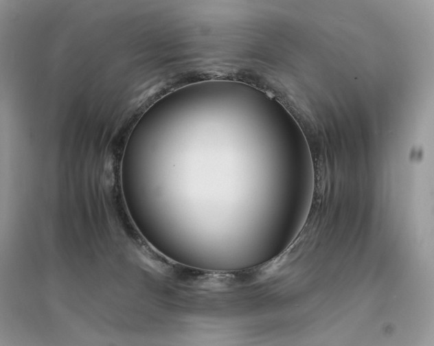 X0000094430128200711291542