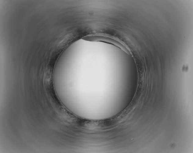 X0000094430129200711291542