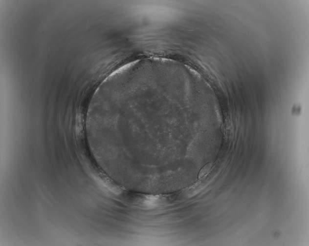 X0000094430130200711291542