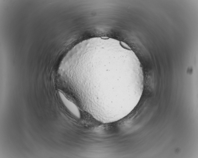 X0000094430131200711291542