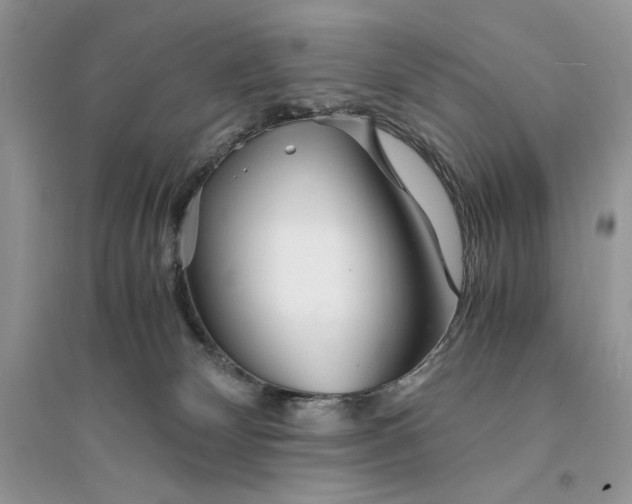 X0000094430132200711291542