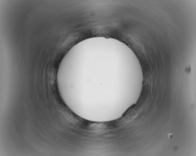 X0000094430133200711291542