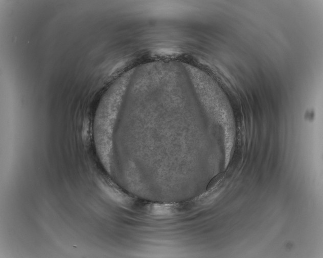 X0000094430134200711291542