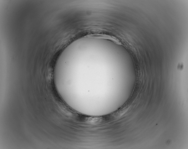 X0000094430135200711291542