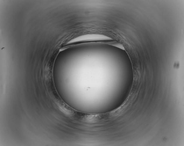 X0000094430136200711291542