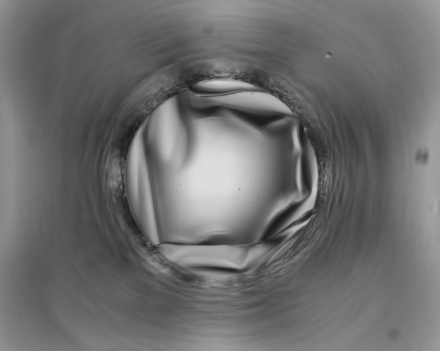 X0000094430137200711291542